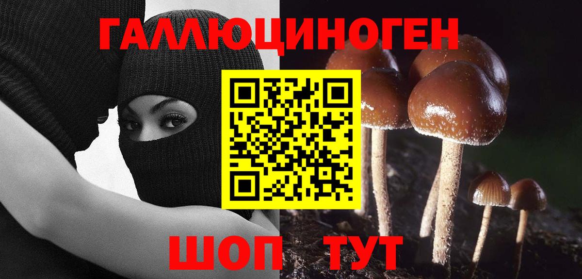 Галлюциногенные грибы Cubensis  Вход с VPN  Приморско-Ахтарск  Псилоцибиновые грибы MAGIC MUSHROOMS 
